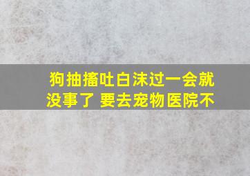 狗抽搐吐白沫过一会就没事了 要去宠物医院不